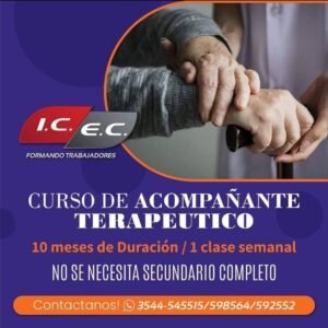 Acompañante Terapéutico