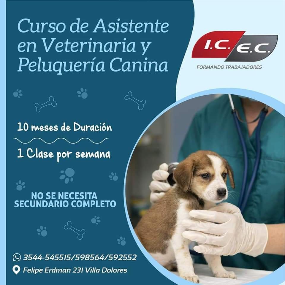 Imagen de WhatsApp 2025-05-12 a las 16.38.18_fec76931